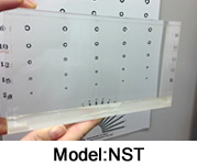 Model: NST
